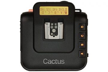 Cactus V6