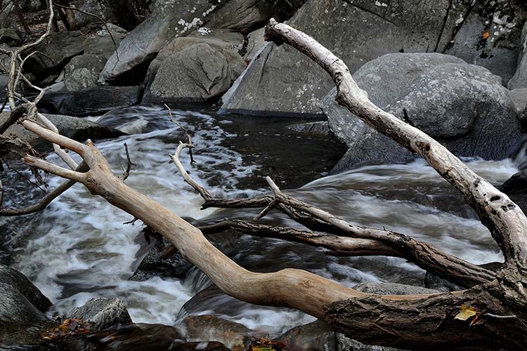 Río