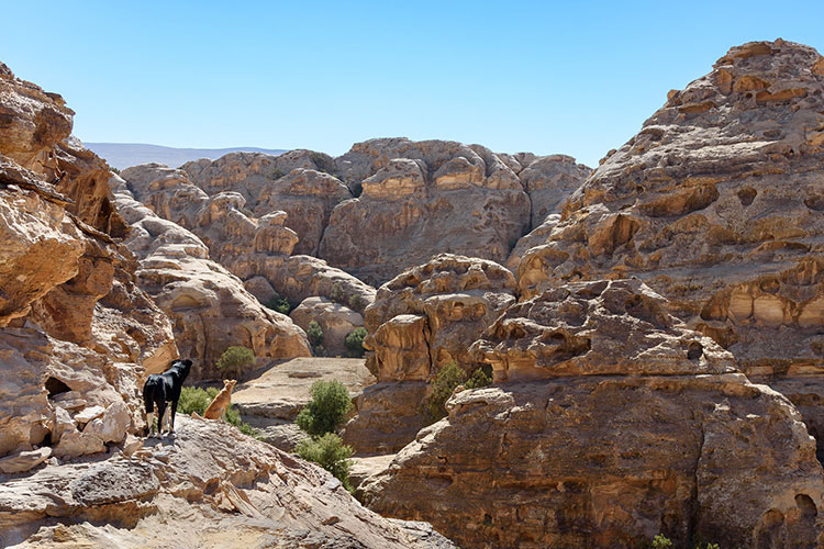 Pequeña Petra