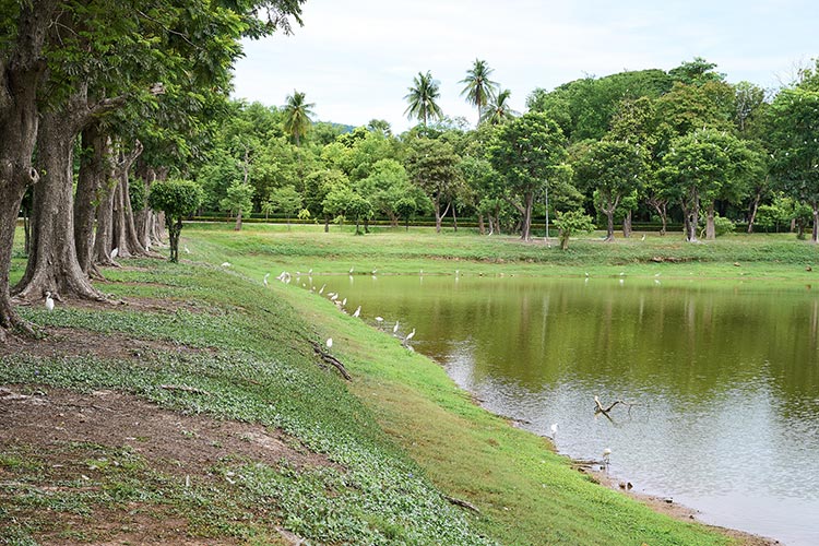 Paisaje