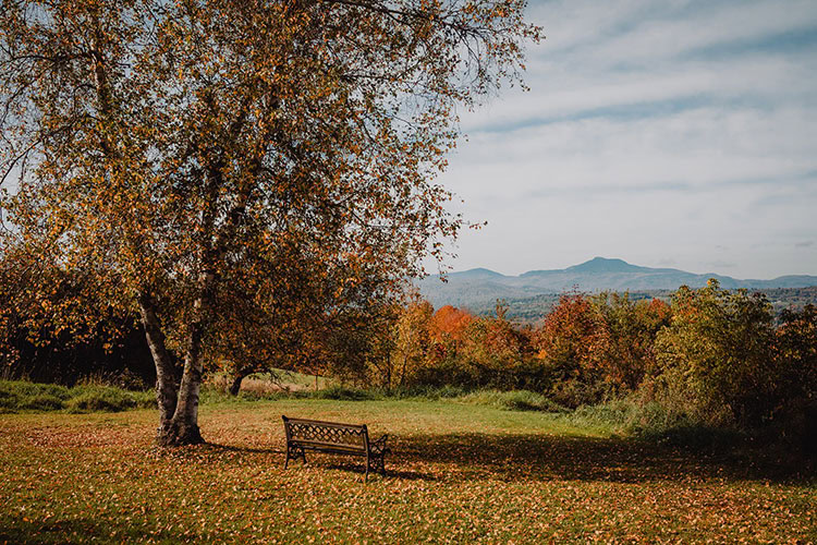 Paisaje otoñal